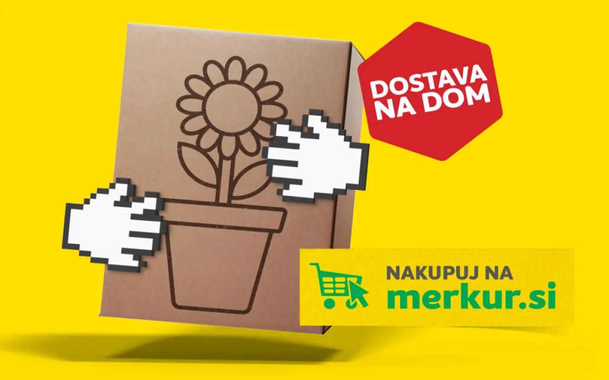 Spletni nakupi z dostavo