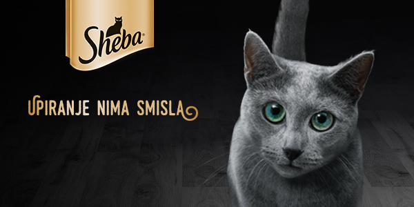sheba