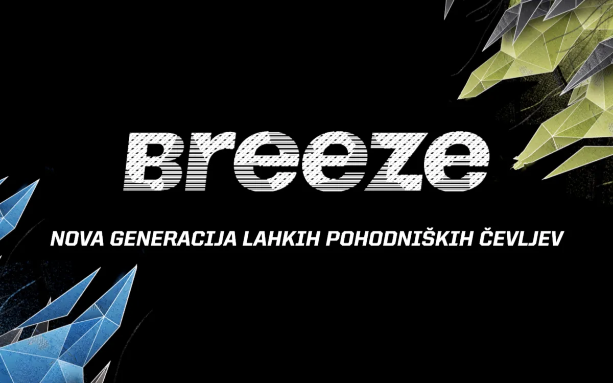Skreni s poti