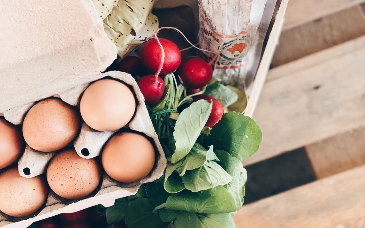 Gajbica: promet se je povečal za 350 %, obisk spletnega mesta za desetkrat 