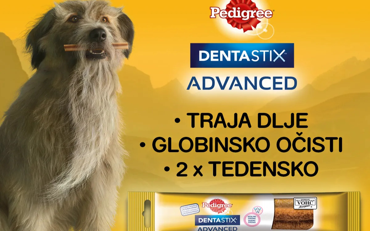 Zdravi zobje, dobro življenje