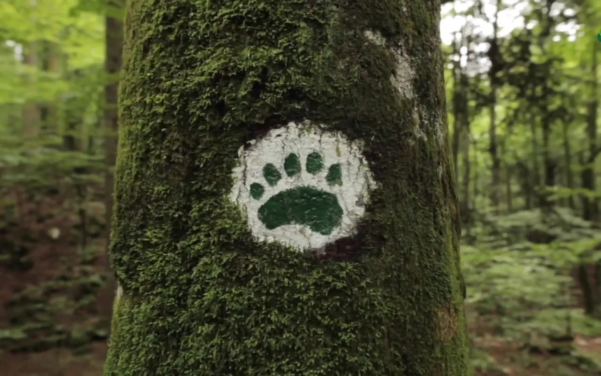 Digitalna prenova kulturne in naravne dediščine (razpis)