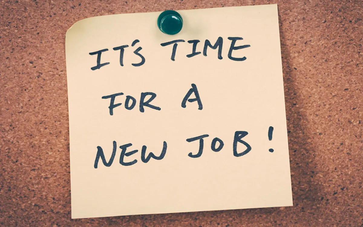 Zaposlujejo Big Bang, Vzajemna, Futura DDB …