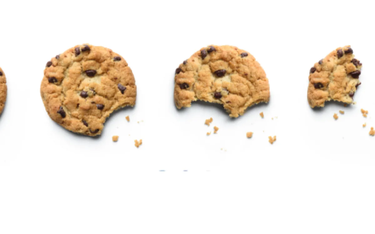 POMENI UKINITEV PIŠKOTKOV KONEC DIGITALNEGA OGLAŠEVANJA?