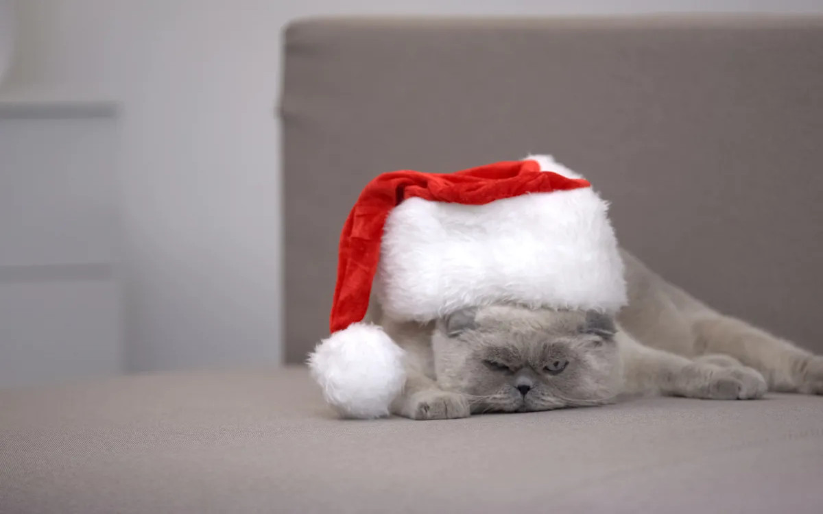 Čarovnija božičnih oglaševalskih akcij na Facebooku