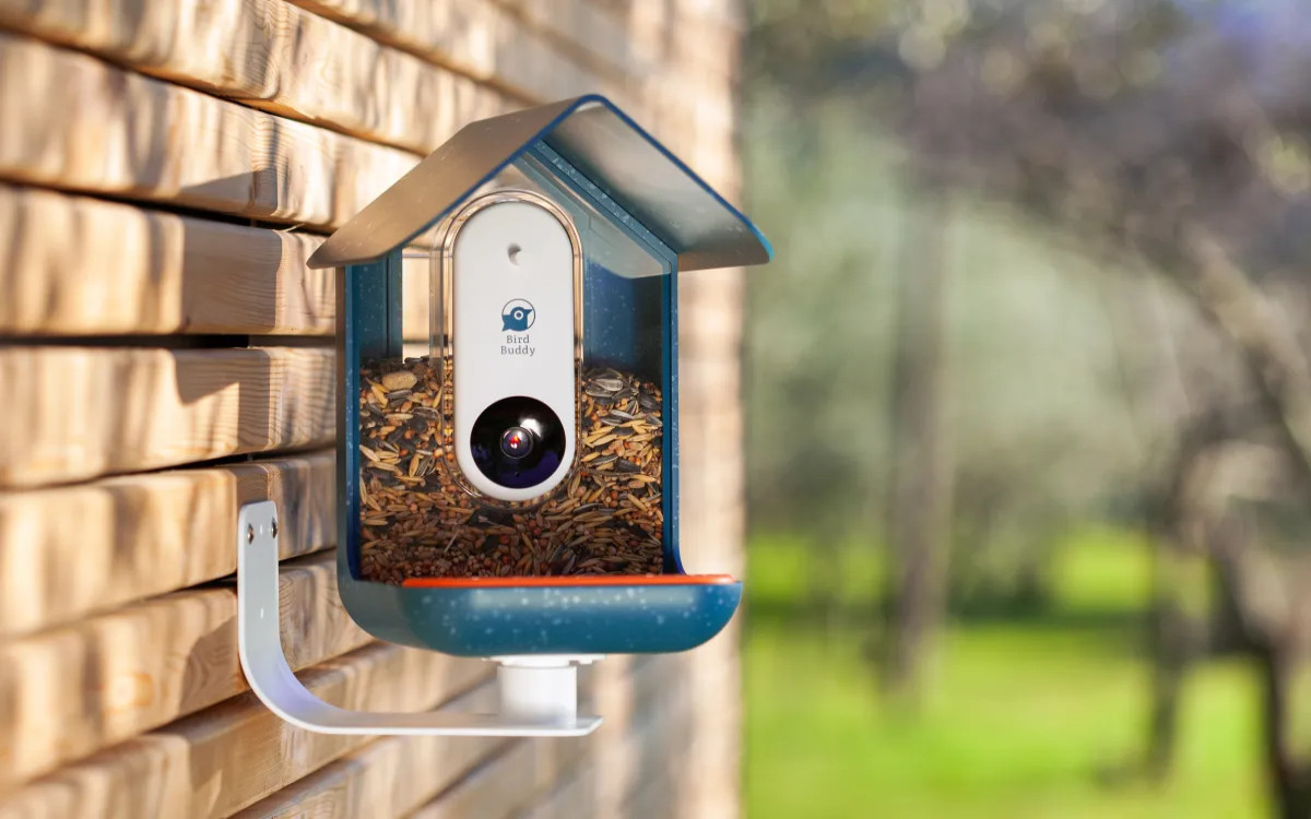 Pametna ptičja krmilnica, ki se ljudem zdi »carska« 