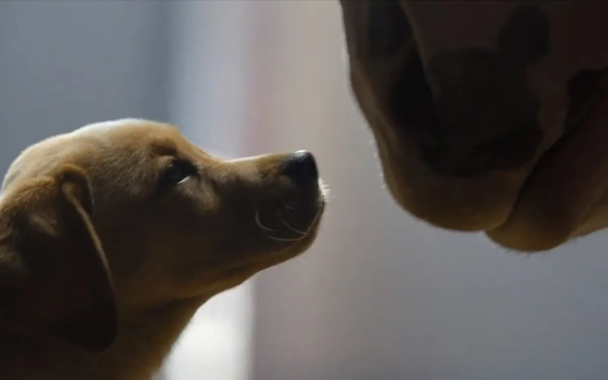 Na 55. Super Bowlu ne bosta oglaševala velika tekmeca Pepsi in Coca-Cola