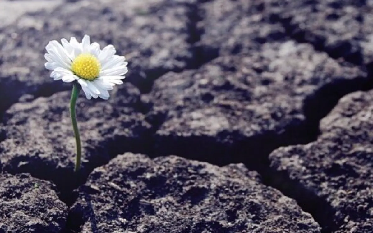 Pandemija zmanjšala število družbeno odgovornih aktivnosti v podjetjih