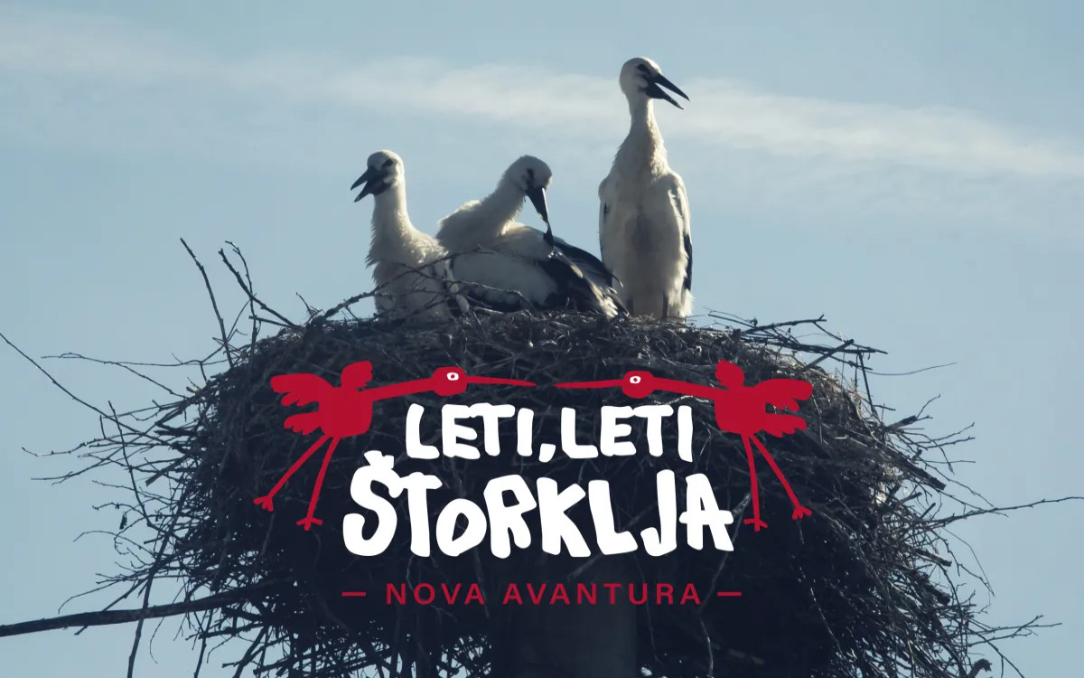 Štorklja gre na jug