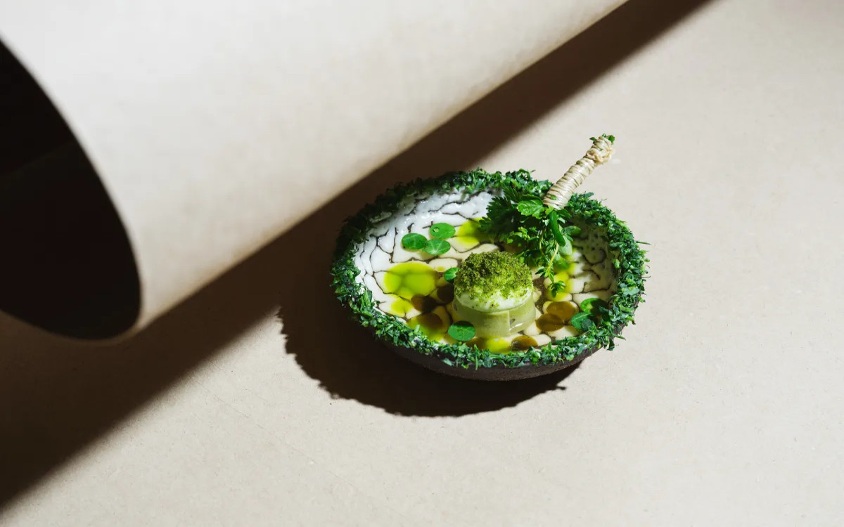 Na Dunajskem tednu oblikovanja tudi slovenski projekt