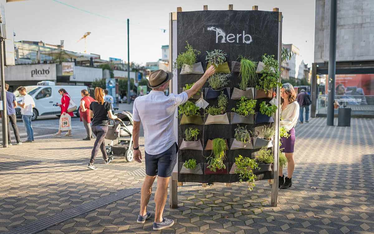 Opazili smo: Zeliščni vrt na oglasnem panoju