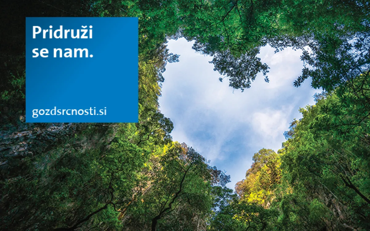 Gozd srčnosti