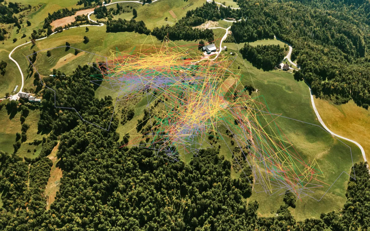 MUmetnost  ali kaj imajo skupnega umetnost, krave in jogurti