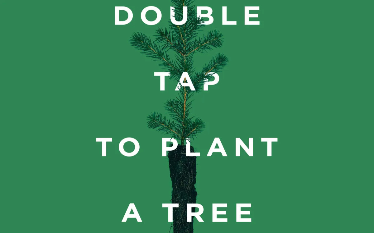 Saditi ali ne saditi? To ne bi smelo biti vprašanje, pa vendarle je …