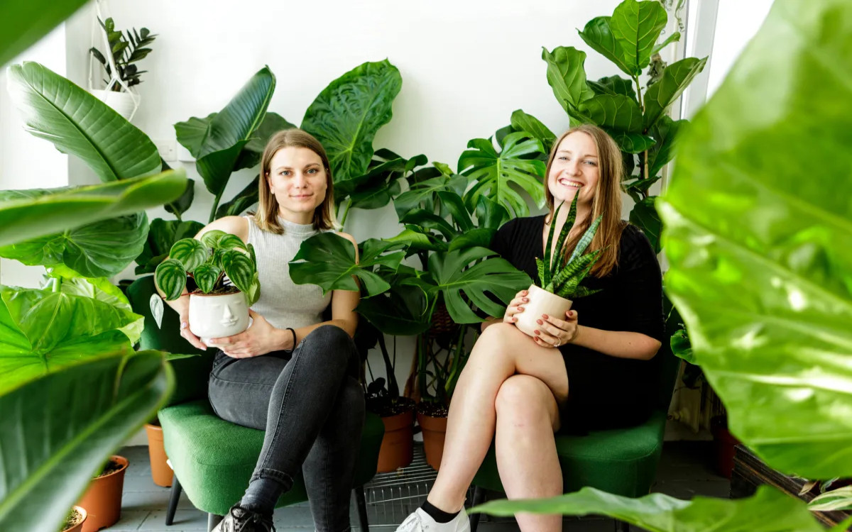 Džungla, kjer ne cvetijo le rastline, ampak tudi posel