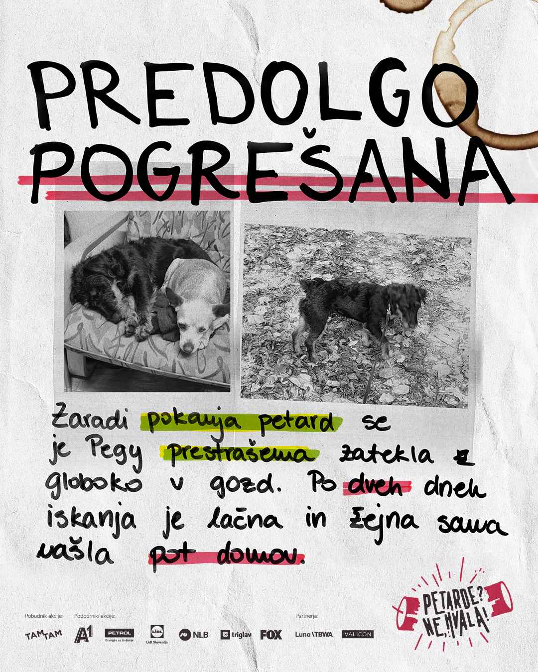 petarde1