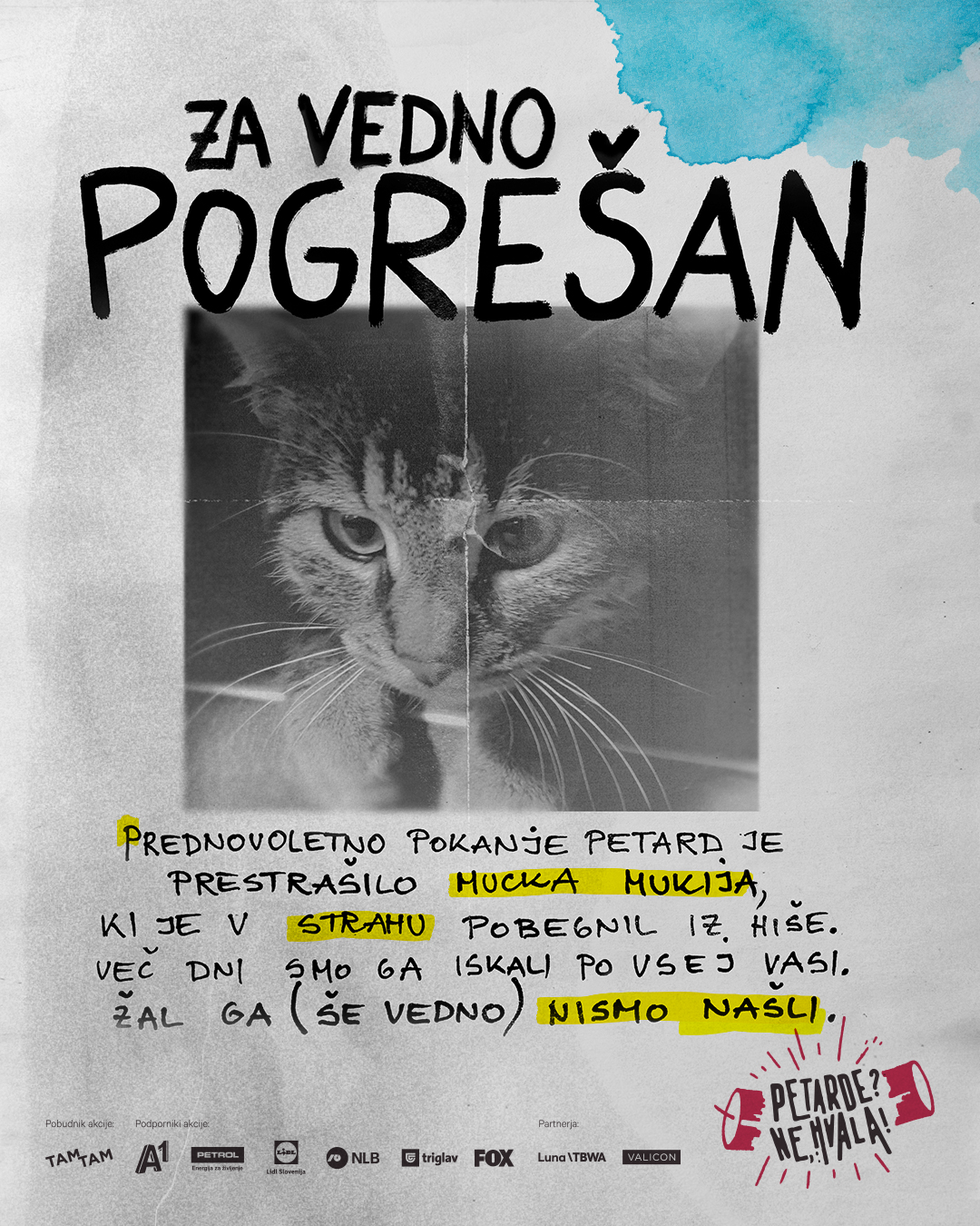 petarde3