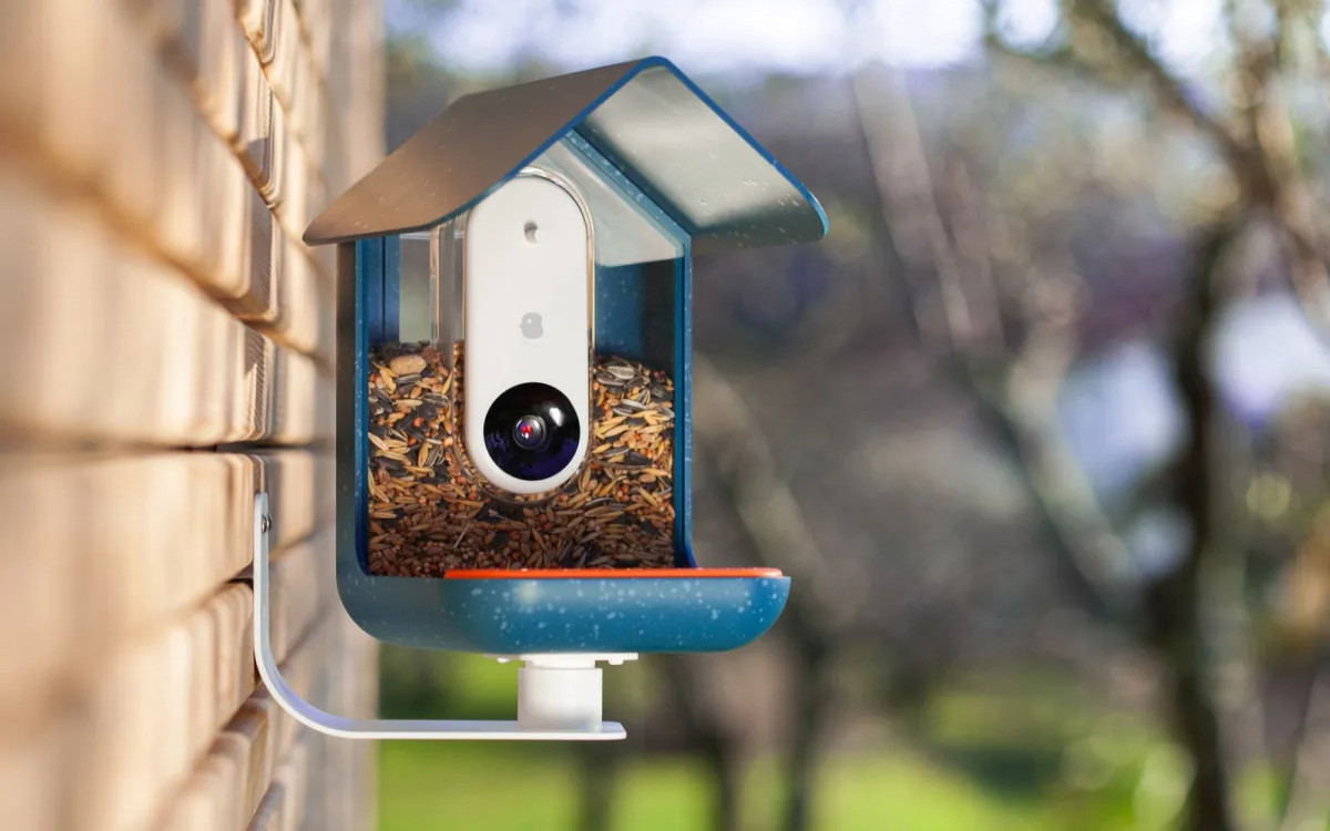 Slovenska ptičja krmilnica, ki pomaga pri spoznavanju pernatih prijateljev