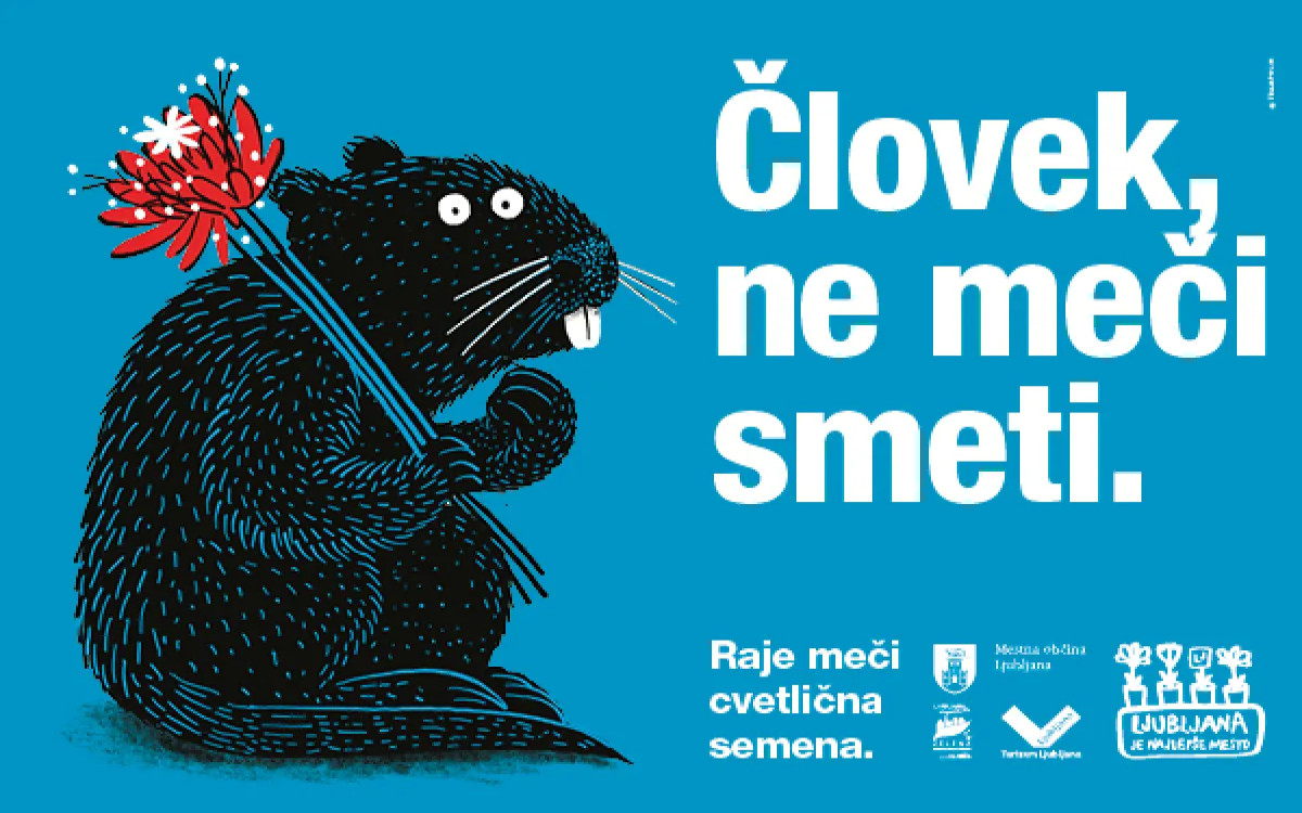 Opazili smo: Ne meči smeti. Raje meči cvetlična semena!