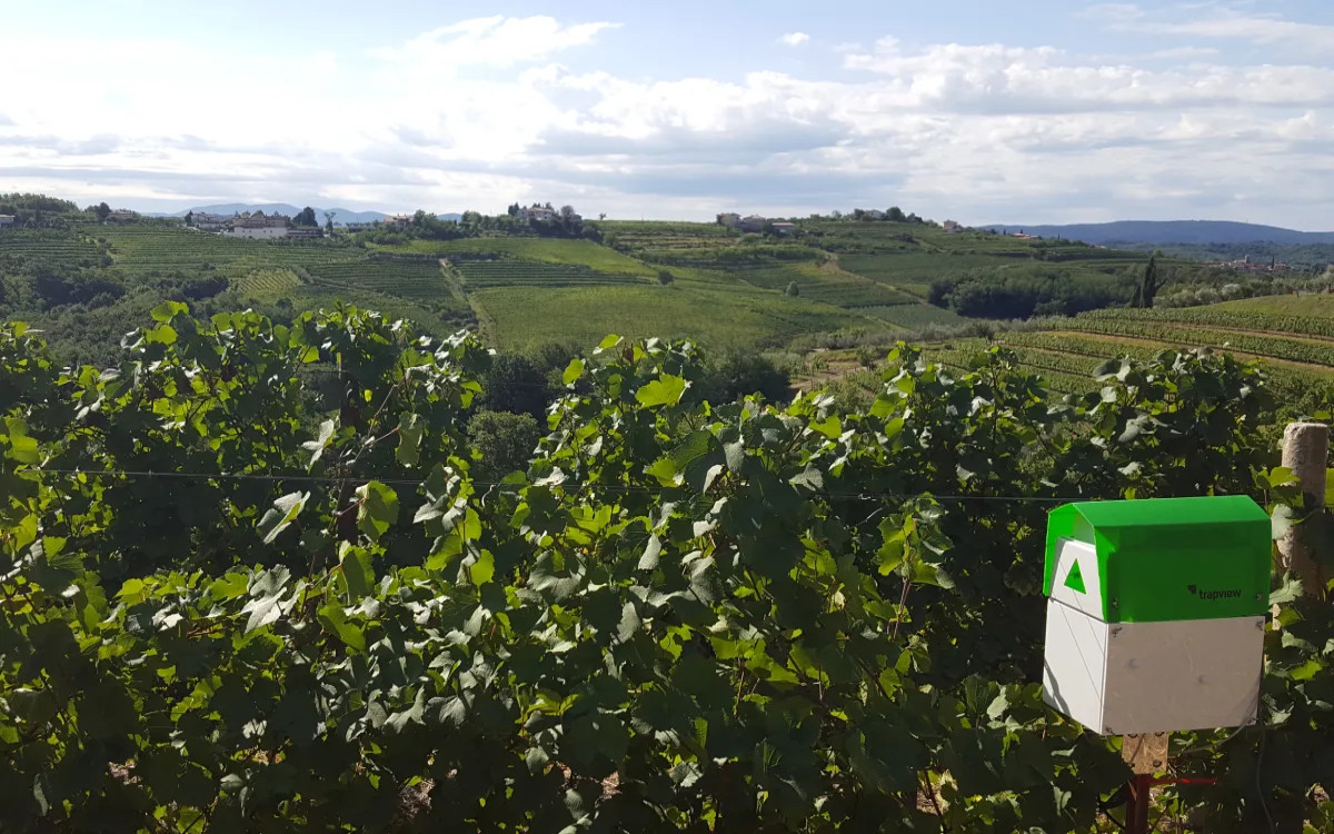 Telekom Slovenije vstopa na trg pametnih rešitev