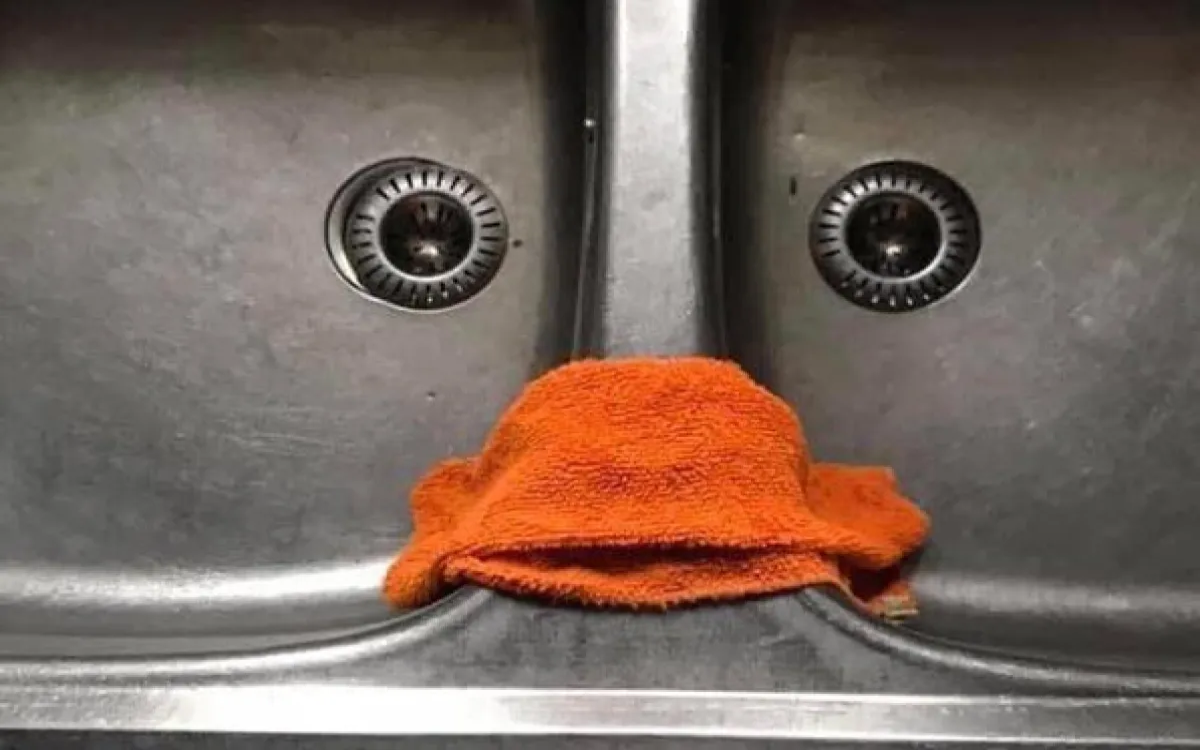 Zaposlujejo Media Monks, A1 Slovenija, Bird Buddy in drugi