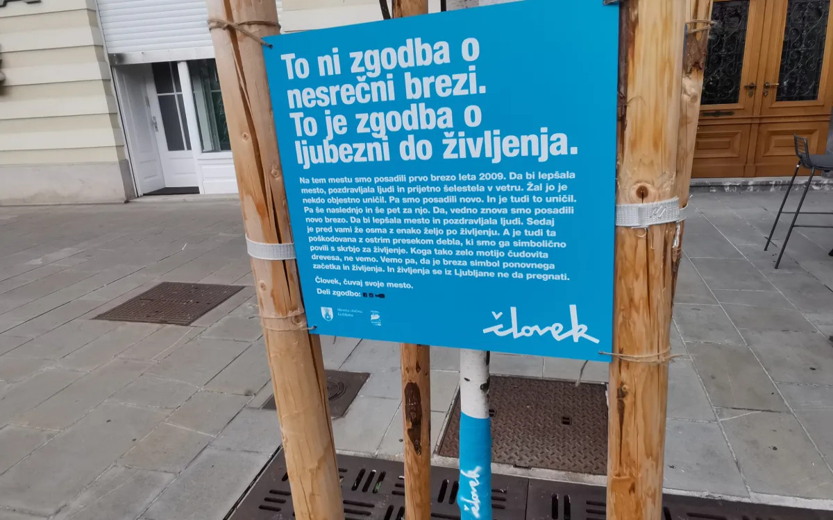 Opazili smo: MOL opozarja na vandalizem nad drevesi