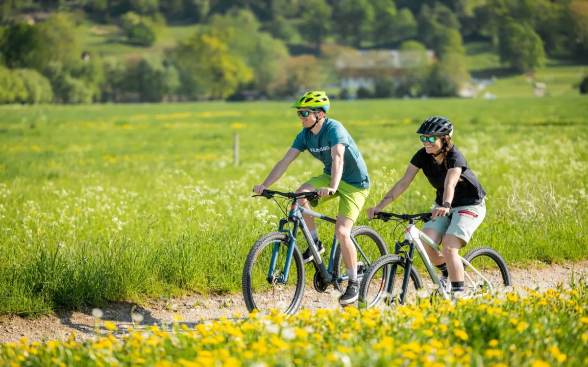 Kako se je Elan vrnil na kolesarski trg