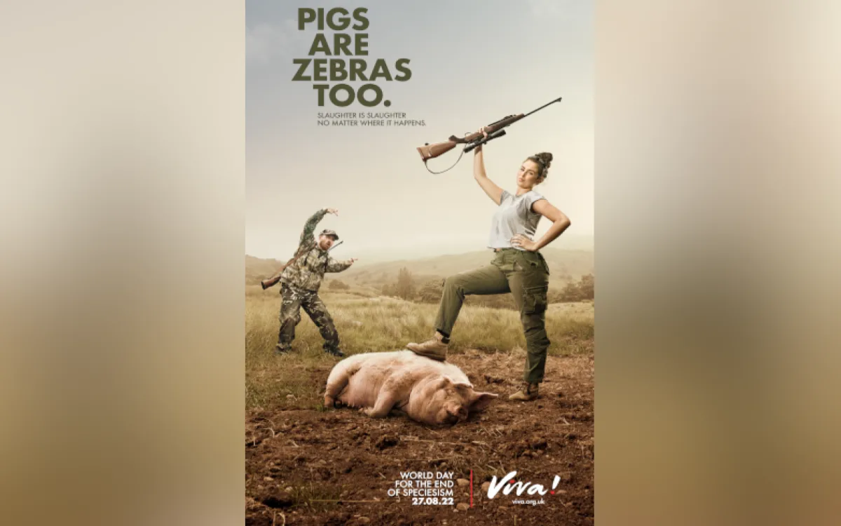 »Tudi pujski so zebre!«