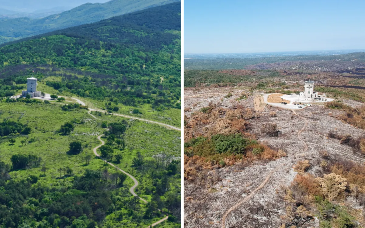 Opazili smo: Pomoč Krasu z dobrodelno dražbo in koncertom 