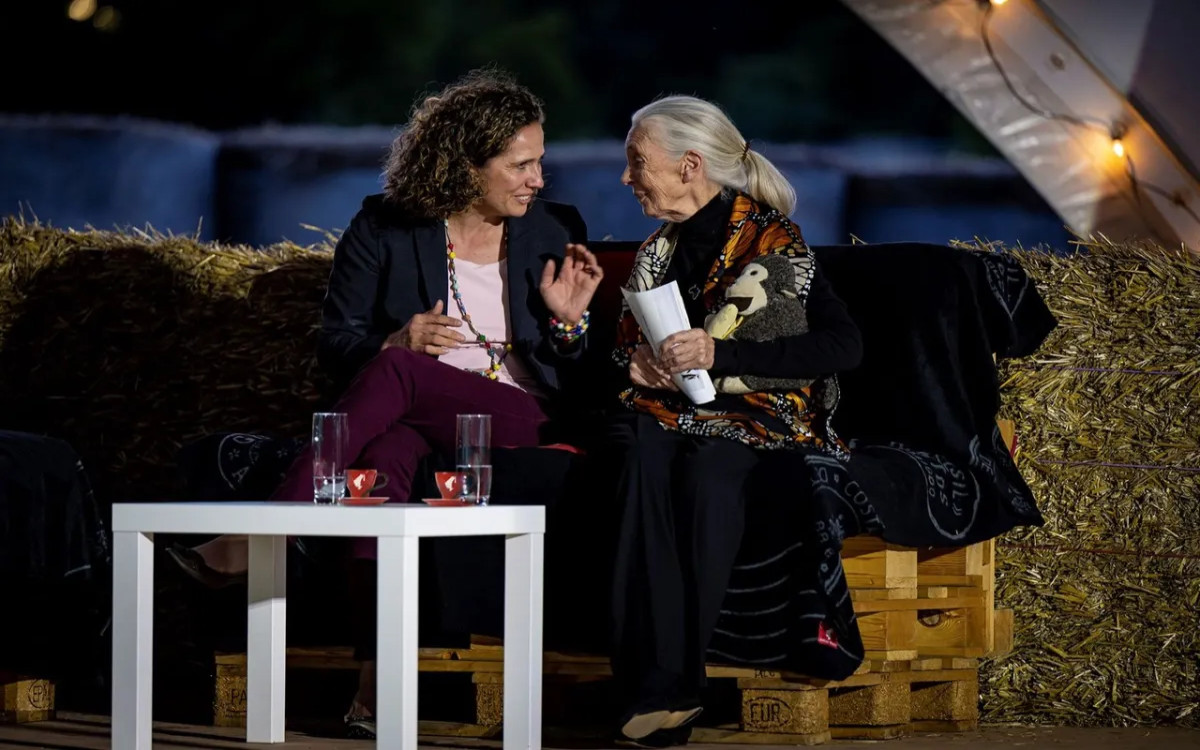 Julius Meinl bo na mednarodni dan kave posadil 18.000 dreves