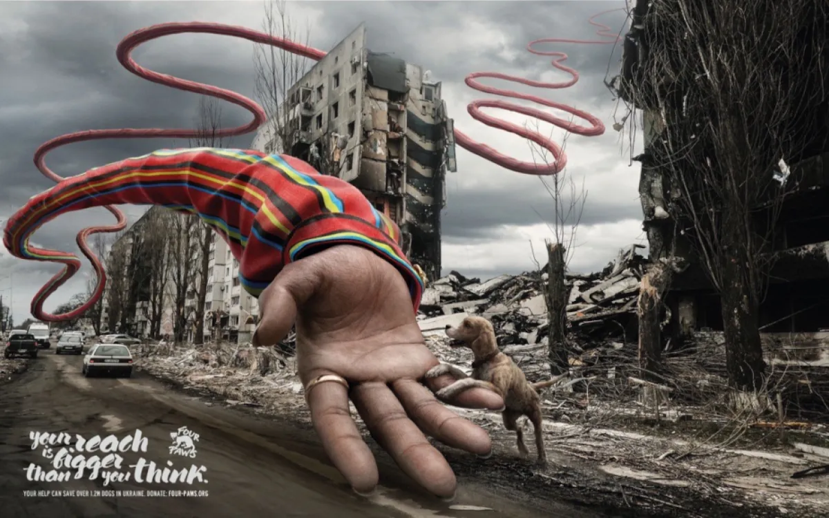 V vojni ne pozabite na domače ljubljenčke