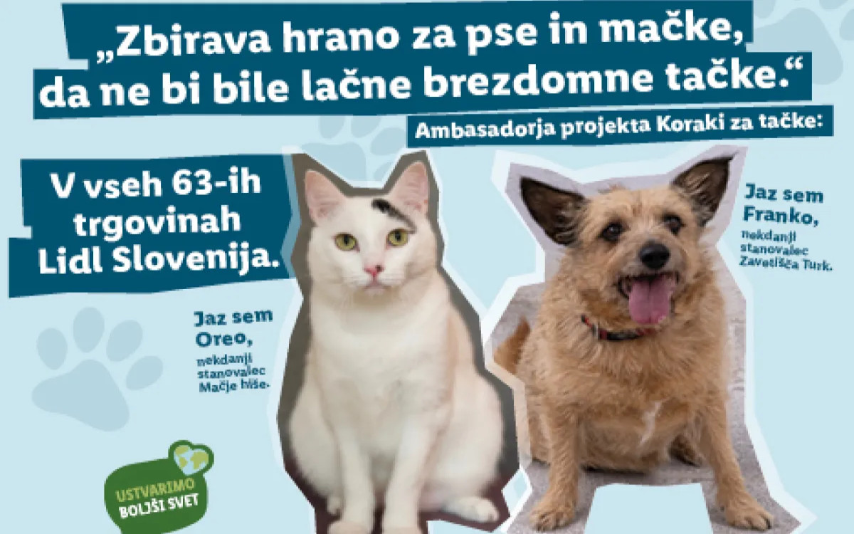 Tradicionalni Lidlovi Koraki za tačke