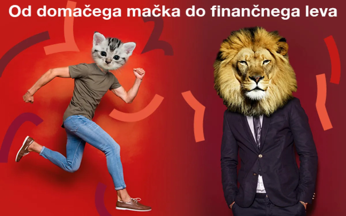 Od domačega mačka do finančnega leva