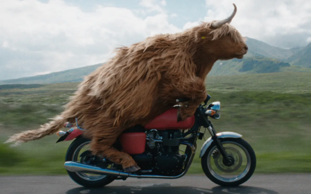 Virgin Media ve, kako oglaševati najhitrejši wifi