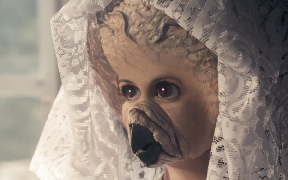 PETA s humorjem nad prvo farmo hobotnic v Evropi