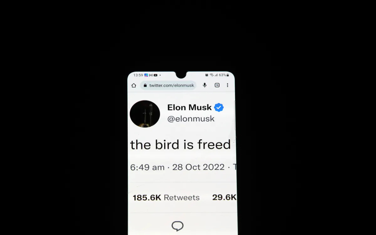 Elonov peskovnik in Twitterjeva osvobojena ptica