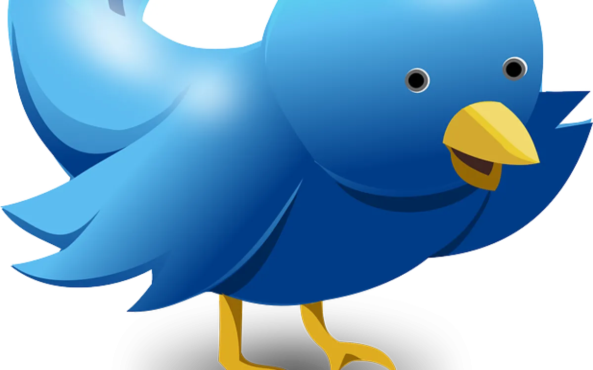 Elon Musk zaposlenim na Twitterju: »Work hard or go home!«*