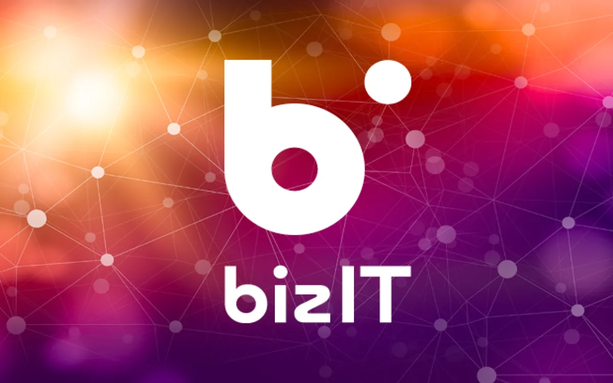 Opazili smo: Internavti zasnovali celostno grafično podobo podjetja BizIT