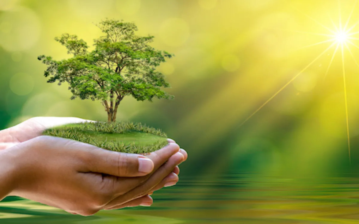 Zelena komunikacija kot simbolni most 