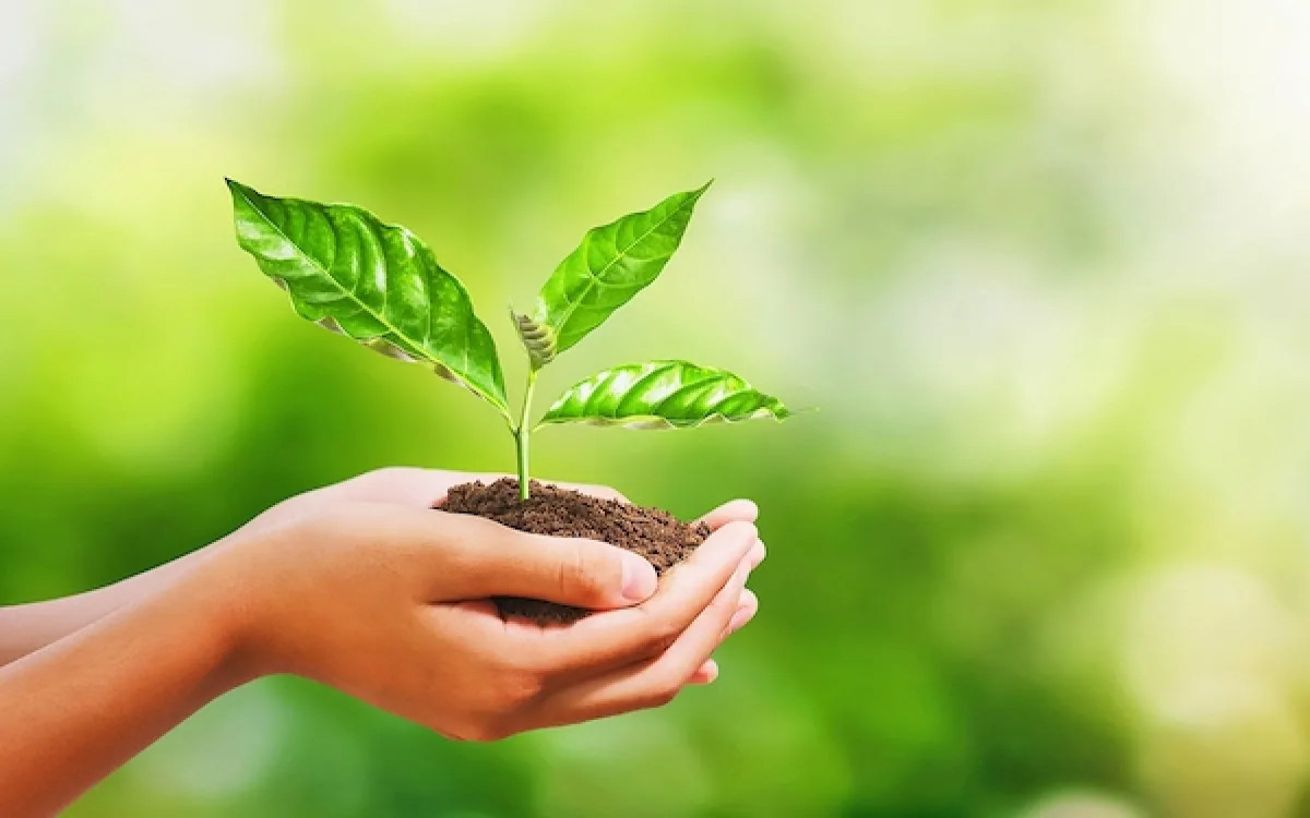 Eko poslovna darila – trendi za letošnje leto