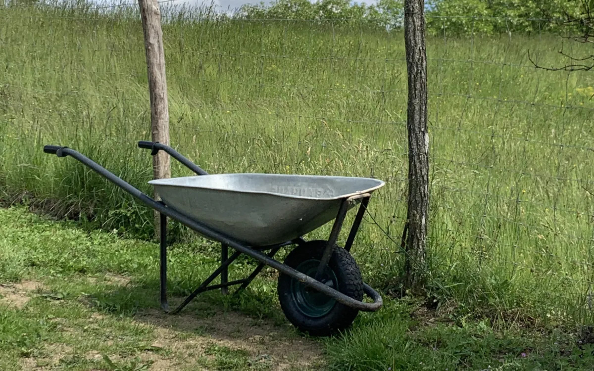 Zaposlujejo Pro Plus, Orbico, Elan in drugi ... 