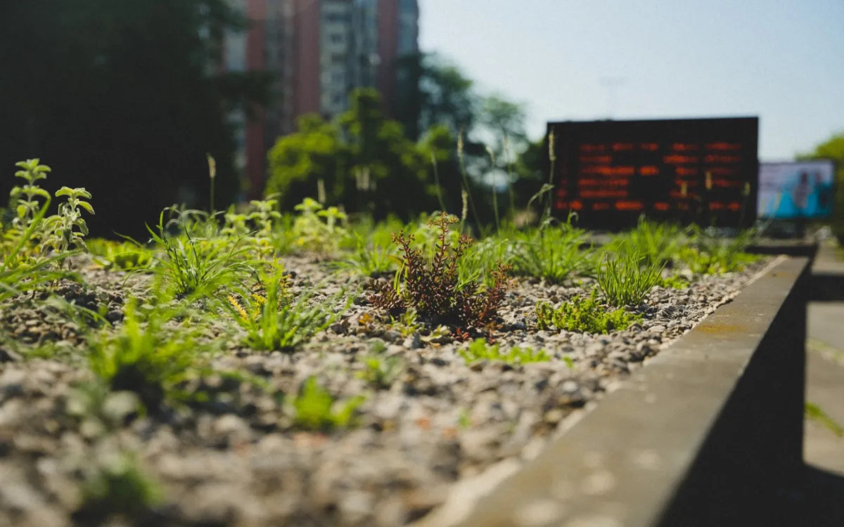 Opazili smo: Napovedniki prijetnejšega in bolj zdravega življenja v Ljubljani 