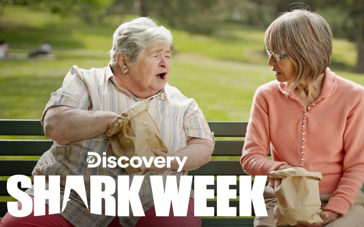 Od Božička do morskih psov 