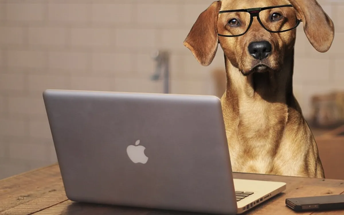 Delovna mesta tedna: Zaposlujejo Bloomberg Adria, SKB Banka, Bolha.com ...