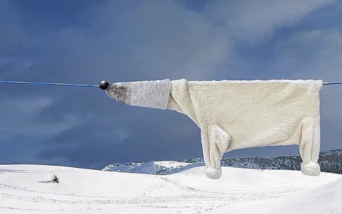 Zaposlujejo agenciji SHIFT in Internavti, Plastika Skaza in drugi