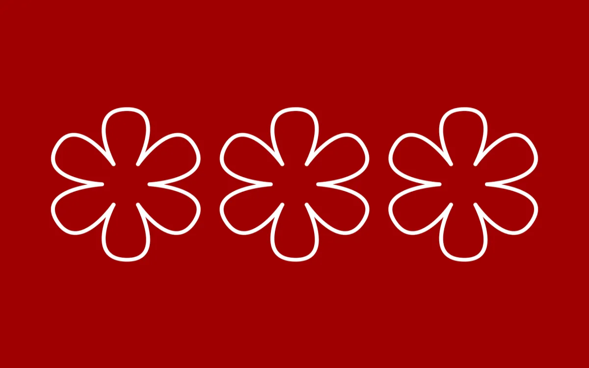 MM-ova mini anketa: Zvezdice, ki so obsijale slovenske chefe 