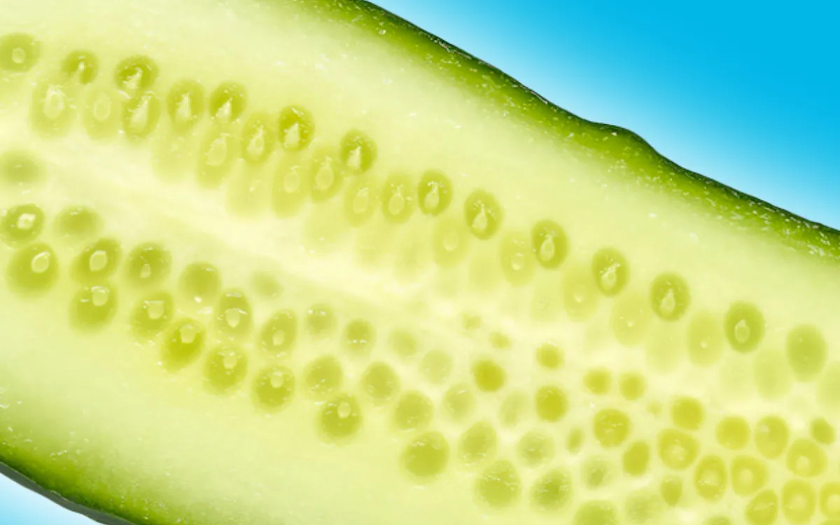 Obljuba svežine vedno znova 