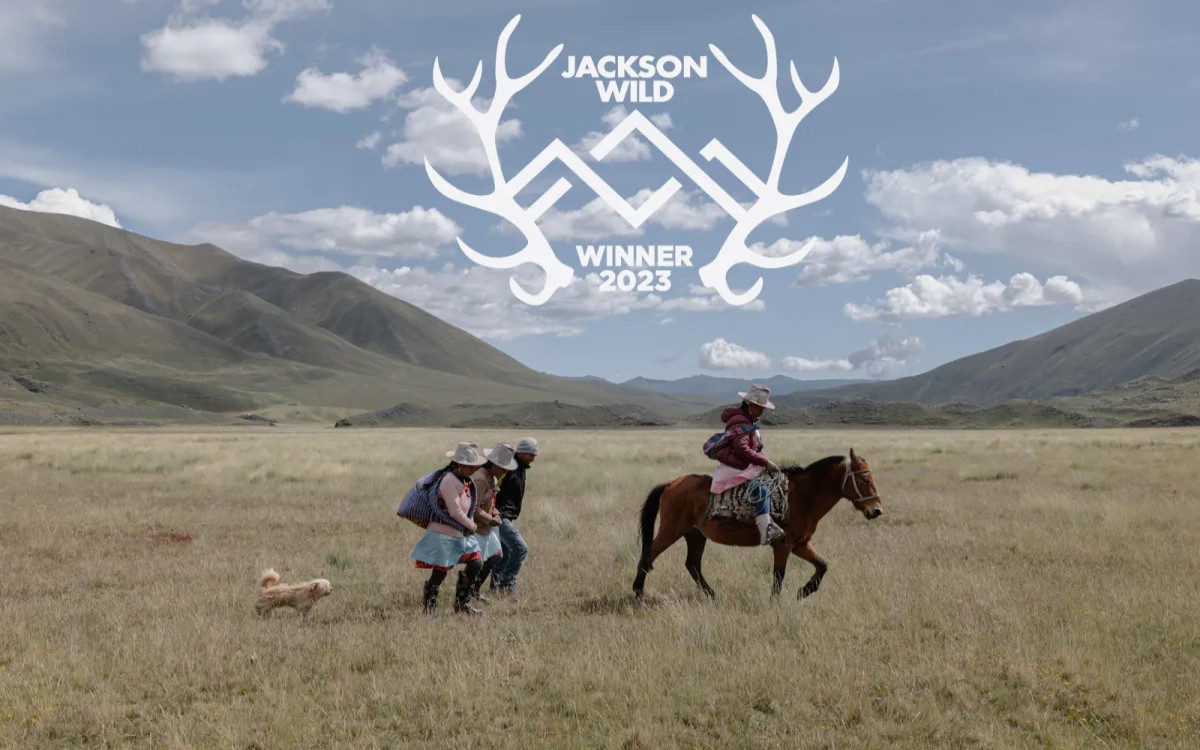 Film »Sanje o vodi« Cirila Jazbeca nagrajen v ZDA