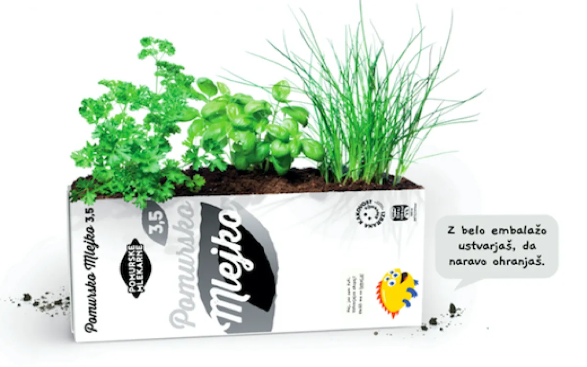 Lumpiji in bele embalaže: Novo ustvarjalno poglavje