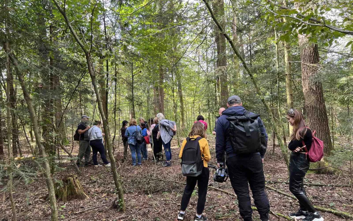 Opazili smo: Ekskluzivno gobarjenje za predstavnike sedme sile